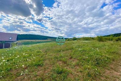 Teren Construcții intravilan de 3300 mp, în Livezeni