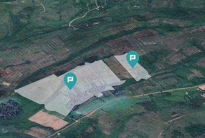 Teren arabil de 87 hectare în Bara, Timiș - 3