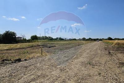 Terenuri intravilane Frumușani – Preț excelent, investiție sigură! - 7