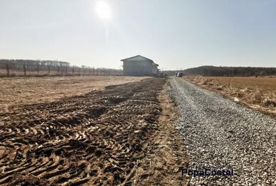 Silistea Snagovului teren intravilan 900 mp + 100 mp drum servitute - 2