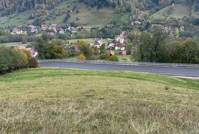 Teren extravilan cu priveliste catre Bucegi – Moieciu de Jos 4.700 mp - 10