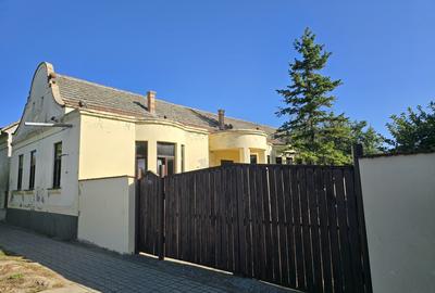 Cenad-Ultracentral-2 fronturi- Casa cu ahitectura deosebita - 18