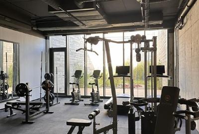 PENTHOUSE EXCLUSIVIST - MOBILAT  - GATA DE MUTARE - 14