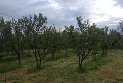 Casa in Corbii Mari, Jud Dambovita. Autostrada A1- Km 57 - 6