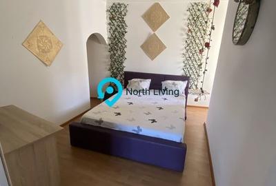 Vila 7 camere -Hala Traian Bucuresti - 12