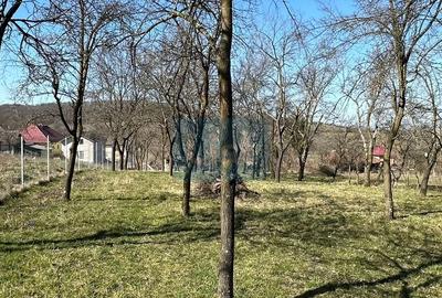 Casă din cărămidă cu anexă și teren 33 ari in Mănău, Maramureș - 5