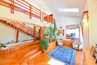 Vila/Proprietate Speciala, 500mp utili, 3300mp teren, Sangeorgiu de Ms - 19