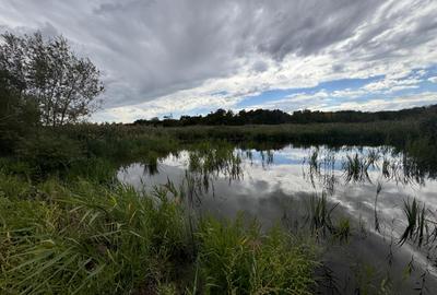 Teren cu deschidere la lac strada Orhideelor- conectare imediata la curent - 5