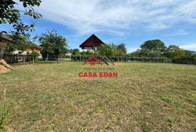 ●Teren in Campina--920mp--28.000e● - 6