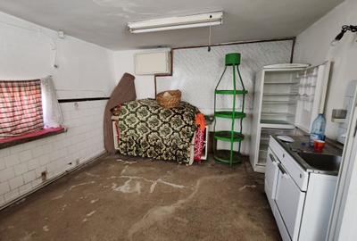 Casa 4 camere libera la vanzare TARLUNGENI - 29