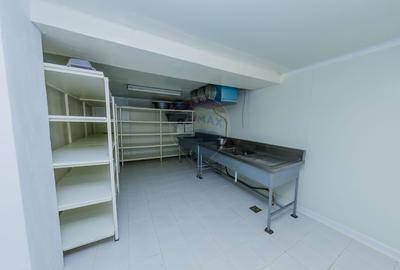 REFUGIU MONTAN CU FARMEC AUTENTIC - DE VANZARE - 13