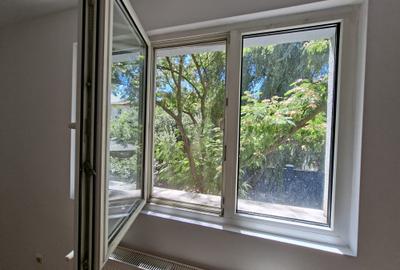 Dumbravita la intrare,  pentru locuit sau afacere - 4