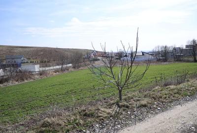 Teren 3,500mp Moara / Strada Pprincipala - 3