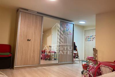 Penthouse cu 4 camere pe 2 nivele In Giroc langa scoala. - 13