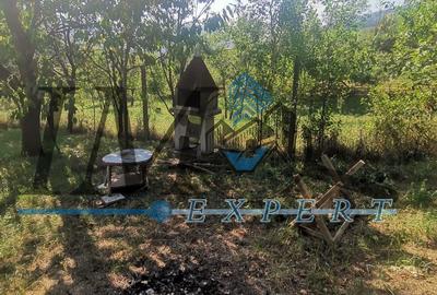 Casa locuibila de vanzare in Pianul de Sus - 9