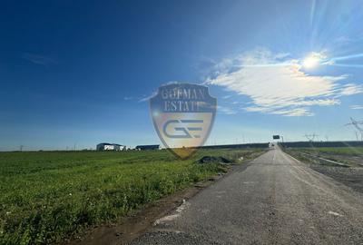 Poiana, A4 17000 mp sensul giratoriu Poiana - Stațiunea Mamaia - 9