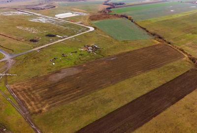 Teren intravilan de 5000 mp lângă centura Nord - 19