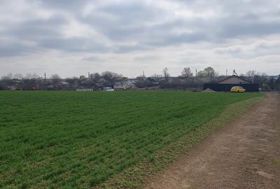 Tâncăbești -Ilfov suprafață 4500 mp - 7