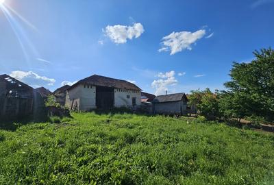 Casa la tara cu 3 camere + teren intravilan Sup 962 mp, Colesti, Bihor - 8
