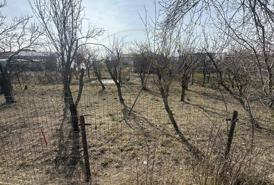 Teren Construcții intravilan de 800 mp, în Moșoaia