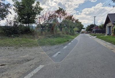 Teren de vanzare Poduri - Bacau - 8