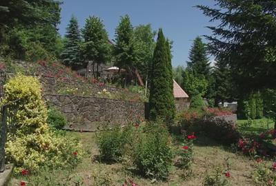 Vila de vanzare in Campina - Lunca Mare, teren 16500 MP - 1