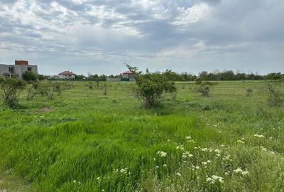 Domnesti - Str. Sfantul Dumitru, teren intravilan 1500 mp - 3