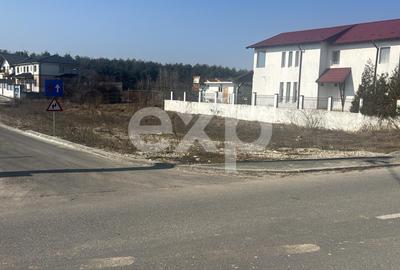 Teren cu autorizatie case in Trivale - Tancodrom - 3