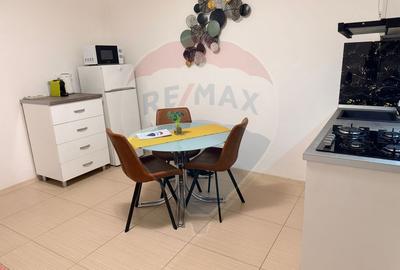 Studio, etaj 1, ultracentral, modern - 6