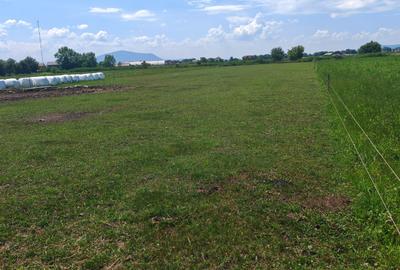 Teren Intravilan de vanzare - 4