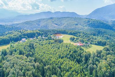 Teren agricol extravilan de 7083 mp, în Poiana Mărului