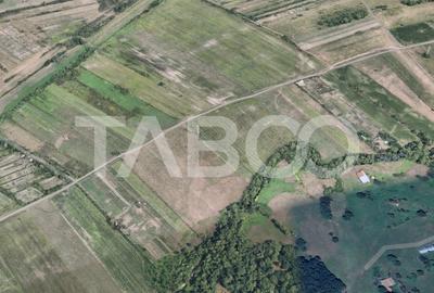Teren agricol extravilan de 17000 mp, în Calea Dumbrăvii