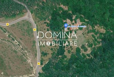 Teren generos 4790 mp + casă tradițională, în loc. Mușetești - 5
