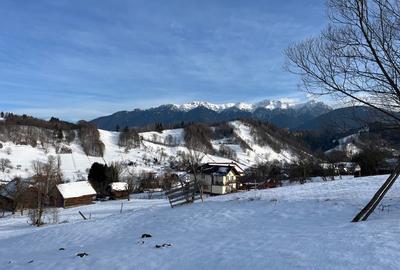 Teren intravilan 2.881 mp Șimon - Vedere panoramică Bucegi - Utilități incluse - 1
