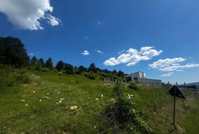 Teren Construcții extravilan de 1374 mp, în Florești