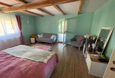 Casa de vacanta cu 4 camere, de vanzare, in Zece Hotare , judet Bihor - 8