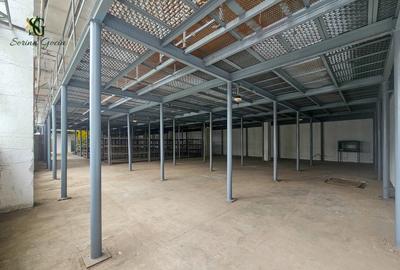 Spațiu industrial versatil, Platforma Upruc, Făgăraș - 6