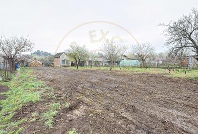 De vânzare 2 Case de vinificație cu Teren 4108 mp - Grădina Viilor - Carei - 19