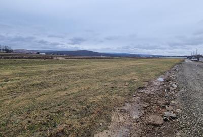 Loturi de teren intravilan la Tulbureni - 3