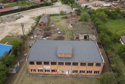 Hală industrială de vânzare – Sebiș, jud. Arad - 3