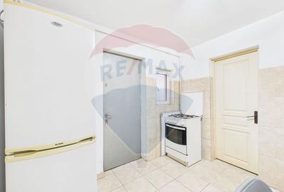 Casă cu două corpuri, ideală pentru firmă, Vitan - 13