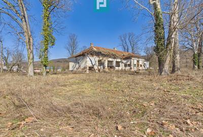 Conac nobiliar de secol XIX cu 8 camere în Maciova - 32