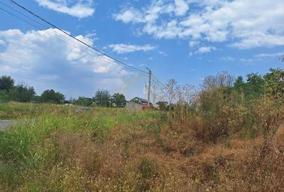 TEREN INTRAVILAN 1500 MP-STRADAL-MIRASLAU-ECHINOCTIULUI - 11