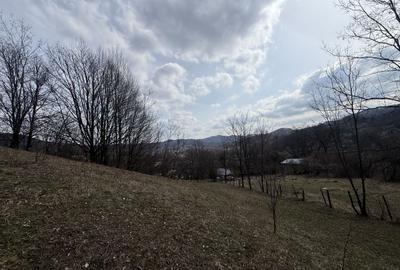 Teren 6040 mp la baza pădurii deschidere 40 ml - 9