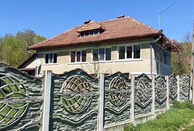 Casa de vanzare in Almasu Mare cu 3992 mp teren - 2