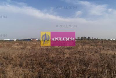 Teren bun mare și ieftin - 51