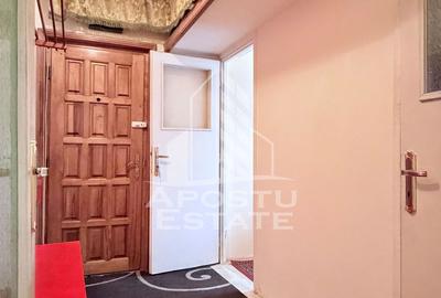 Apartament de vanzare cu doua camere parter Piata Doin Calea Sagului - 4