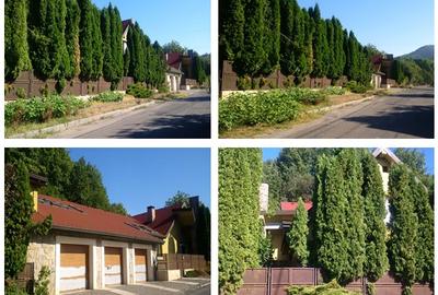 Casă cu 7 camere în Nord-Est