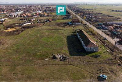 Hală industrială cu teren generos în Zărand, Arad - 55