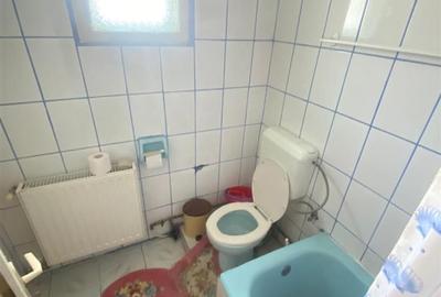 Apart la casa Bogdanestilor  curte  acces cu masina centrala proprie - 8